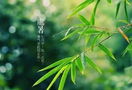 江苏教师教育(江苏教师培训中心)