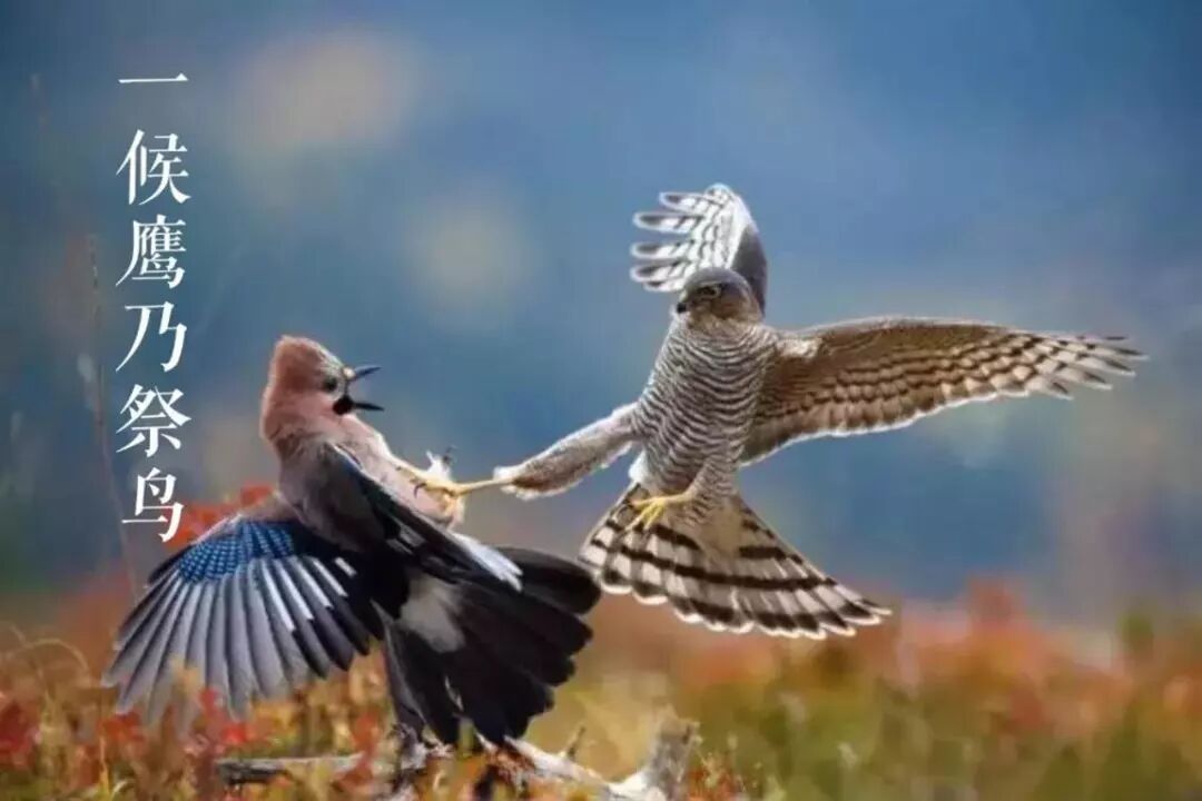 江苏教师教育(江苏教师培训中心)