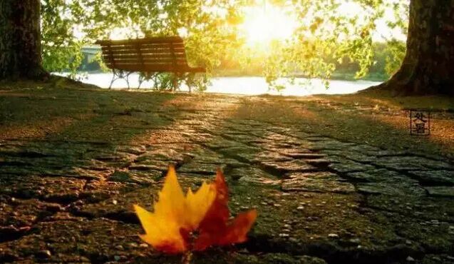 江苏教师教育(江苏教师培训中心)