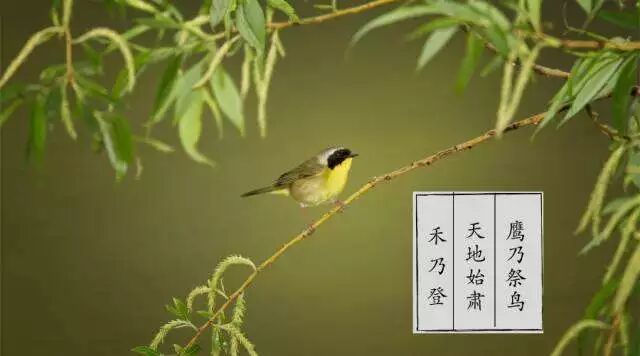 江苏教师教育(江苏教师培训中心)