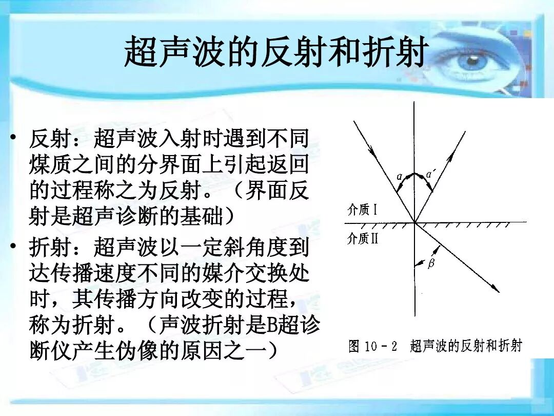 眼科a超报告单怎么看眼科A超 ｜ 基本原理和临床应用_https://www.jmylbn.com_新闻资讯_第6张