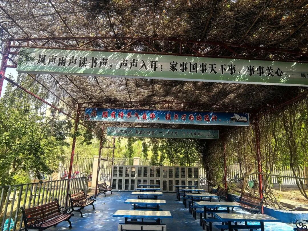 校际交流 | 跨越山河研教艺 携手湘吐育芳华——湘潭市益智中学赴疆开展学习交流活动