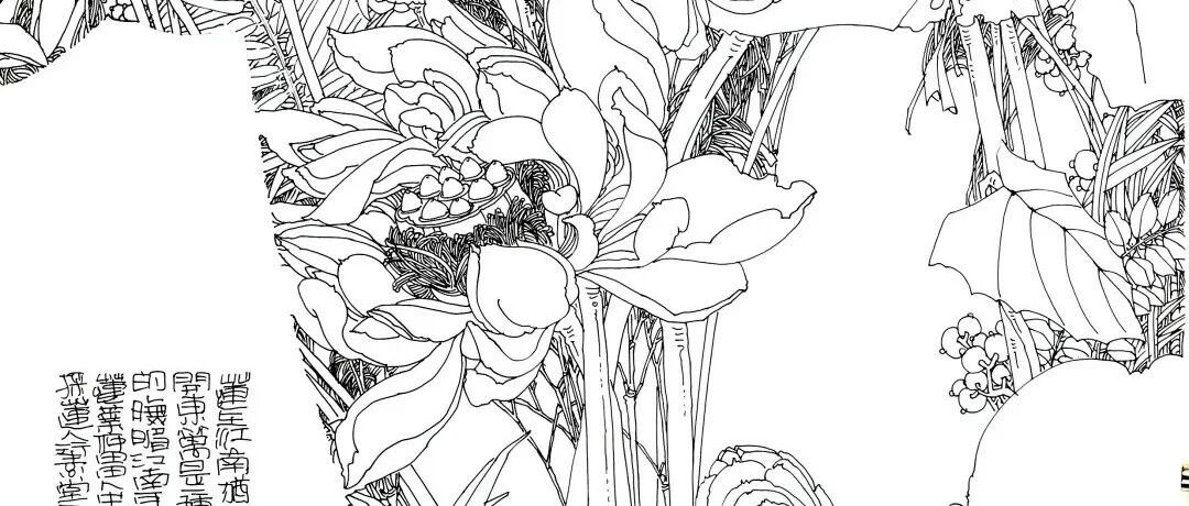 cover_image