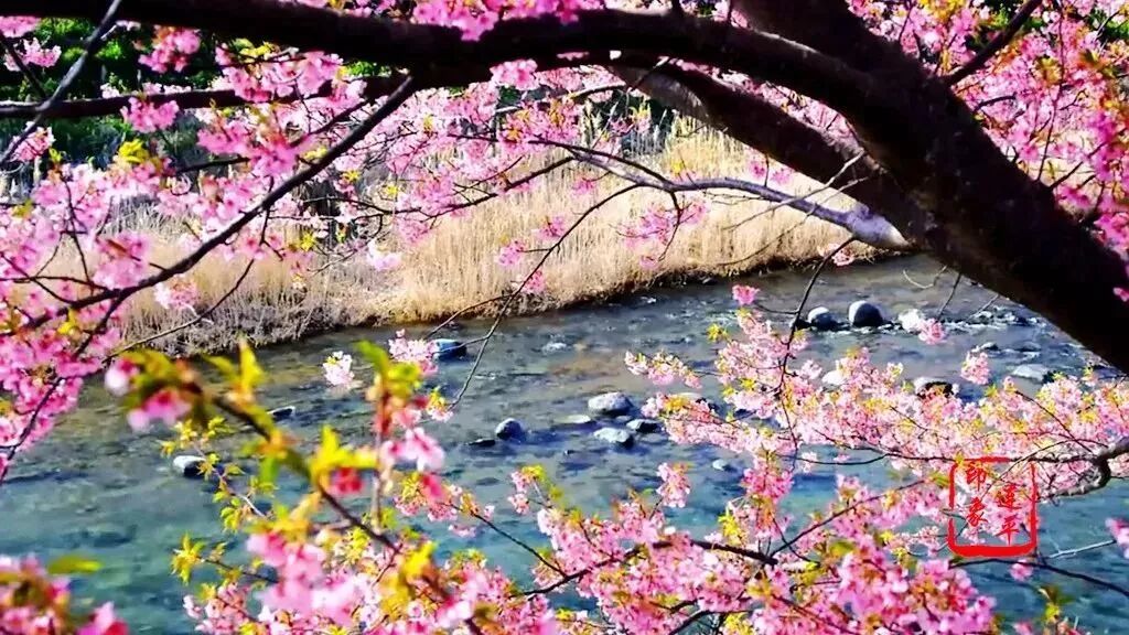 640?wx_fmt=jpeg&tp=webp&wxfrom=5&wx_lazy=1&wx_co=1