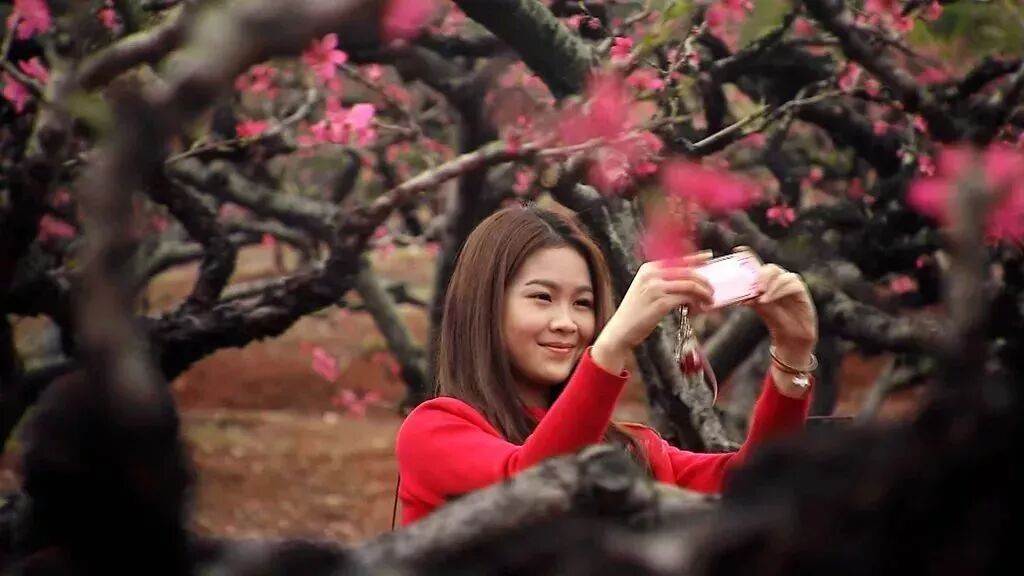 640?wx_fmt=jpeg&tp=webp&wxfrom=5&wx_lazy=1&wx_co=1