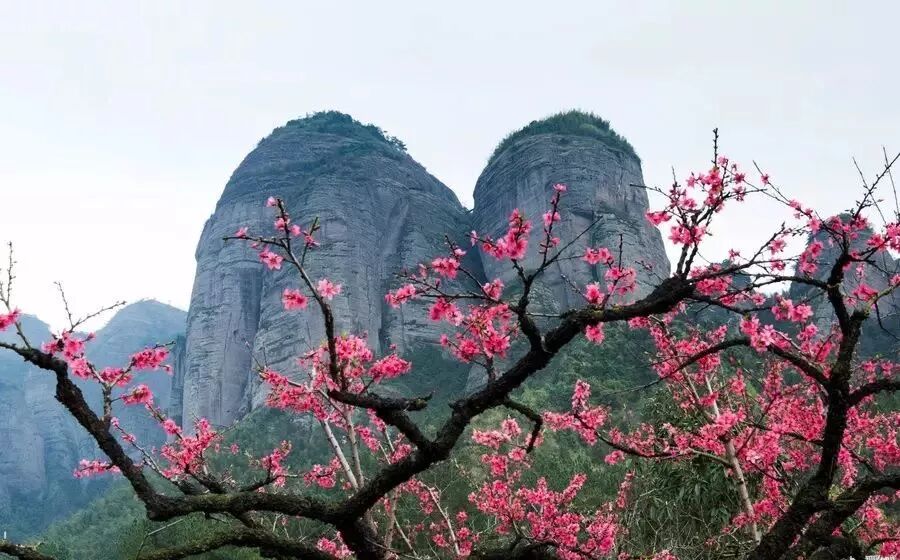 640?wx_fmt=jpeg&tp=webp&wxfrom=5&wx_lazy=1&wx_co=1