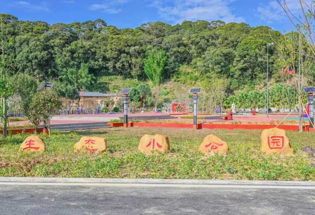 苏区镇绿美生态小公园