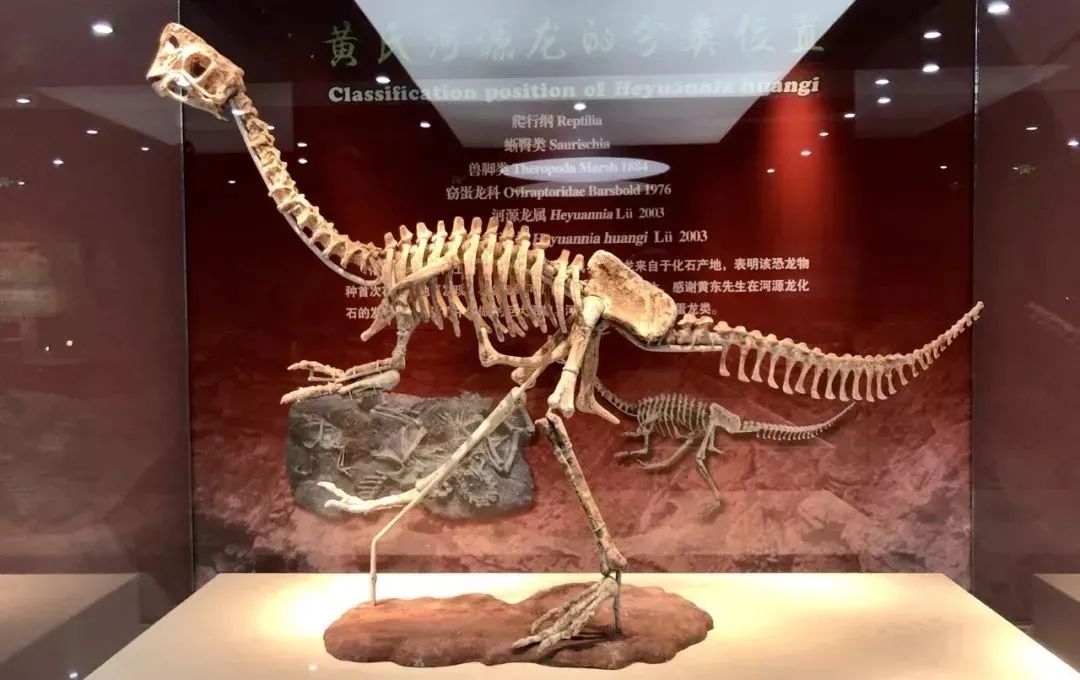 車輛被召回如何維權(quán)？市場監(jiān)管總局發(fā)布指南