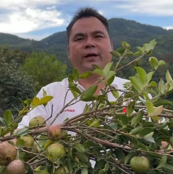 吴章华向网友介绍油茶