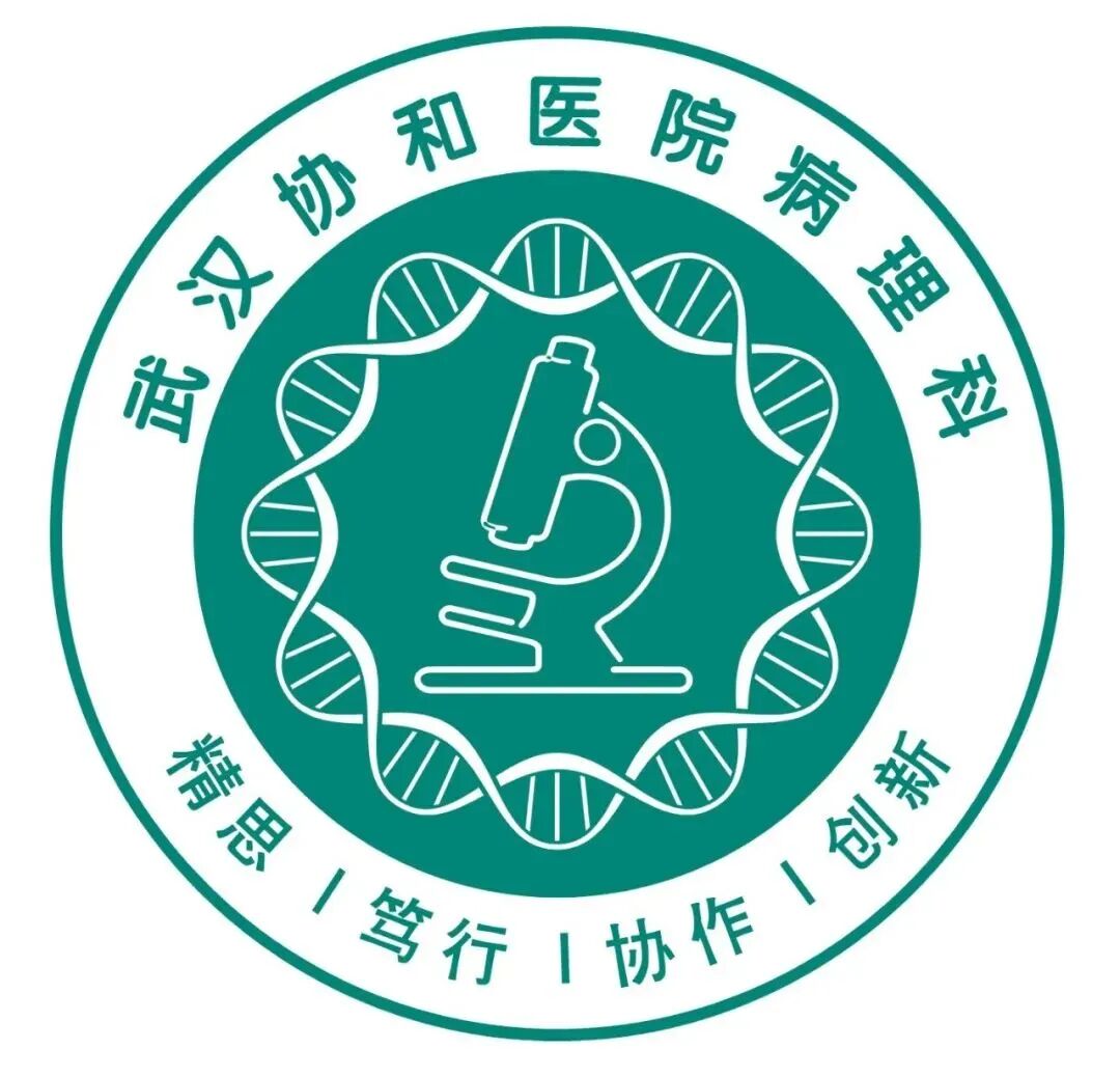 标本转运箱怎么消毒生物安全丨组织病理标本保存及物流操作指导_https://www.jmylbn.com_新闻资讯_第6张