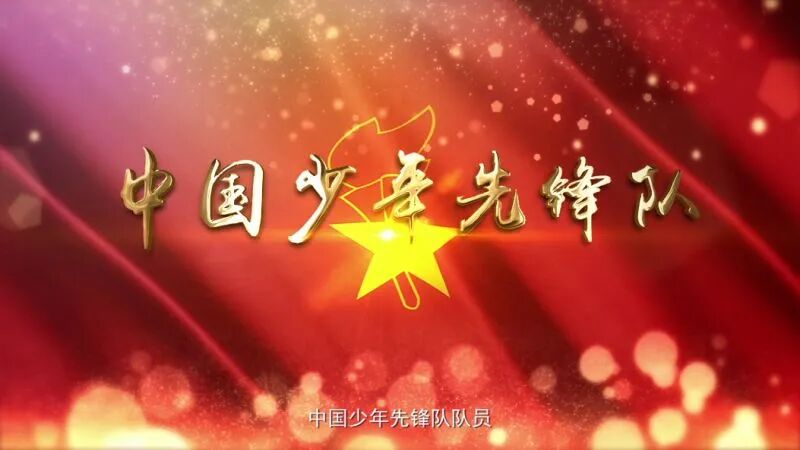 迎接第八次全国少代会召开，学校少先队应该做些什么？-图片6