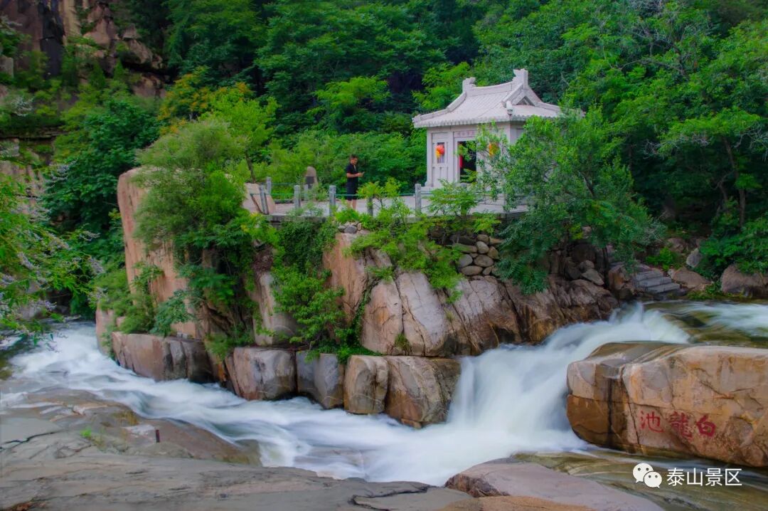 一泓清潭飞瀑奔流 雨后泰山黑龙潭惊艳亮相!_泰安民生_泰安_齐鲁网