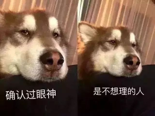 2018十大网络用语到底什么梗？哪几个承包了你的口头禅~