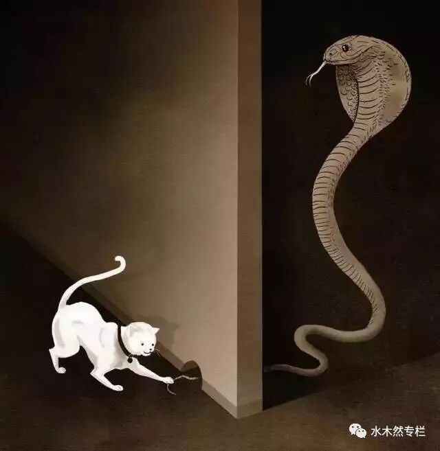 640?wx_fmt=jpeg&tp=webp&wxfrom=5&wx_lazy=1&wx_co=1