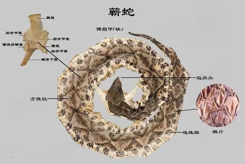 e52b6d2259ccf2fd5c0f2090d1a189a.jpg