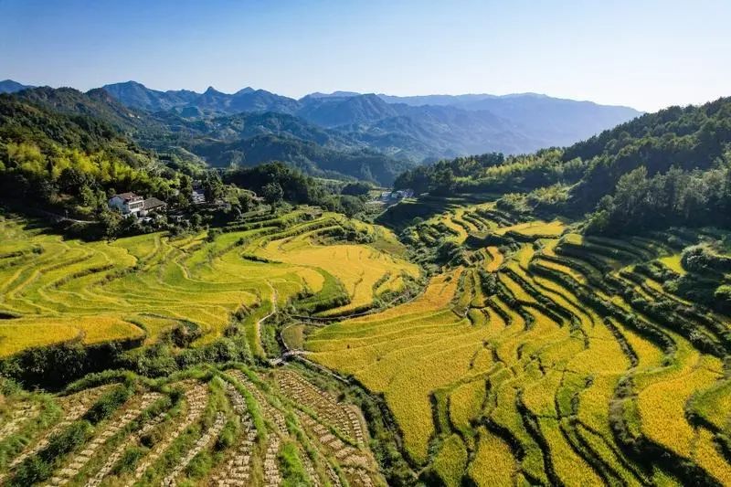 蕲春雾云梯田景点电话图片