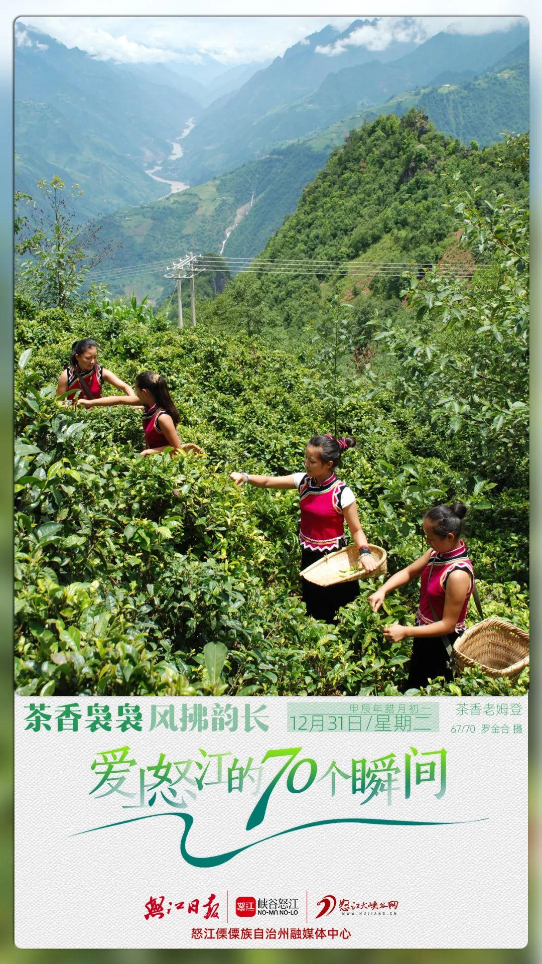 高山云雾出好茶图片