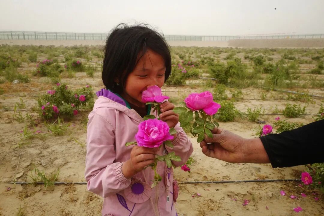 《沙漠玫瑰》2023年5月  中国新疆 和田地区 于田县《帕米尔的夏米尔