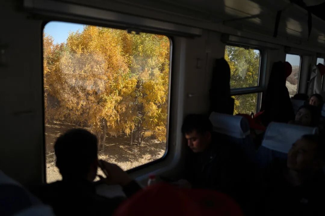 佳作欣赏|罗晓韵:希望之环——世界首条环沙漠铁路线