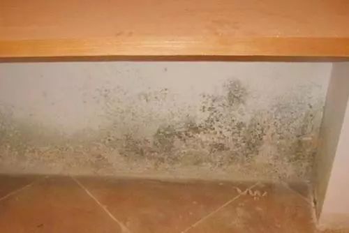 北疆硅藻泥怎么样_北疆硅藻泥怎么样_北疆硅藻泥怎么样