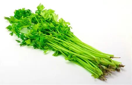 芹菜分为西芹,香芹和药芹,如果想达到食疗的目的,最好选择香芹和药芹.