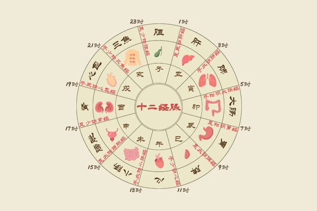 半夜总在这几个时辰醒来可能是身体给出的提示中医教您调理