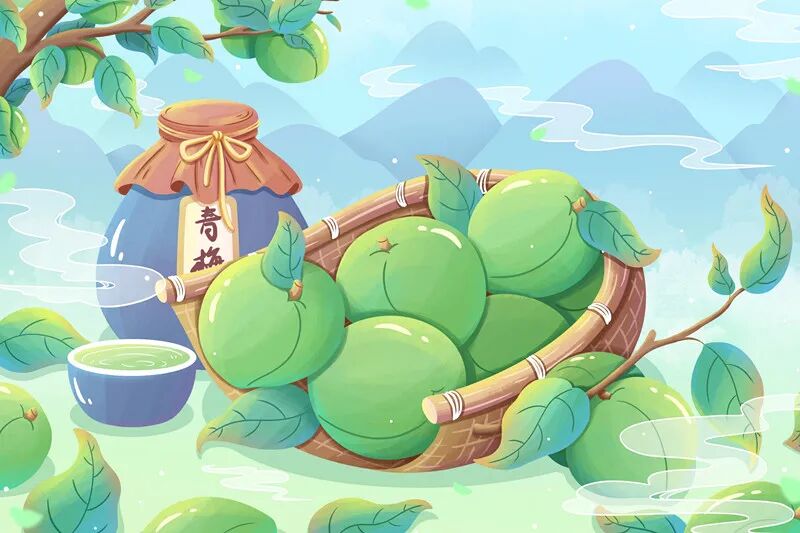 望梅止渴青梅煮酒梅子故事多它还能入药