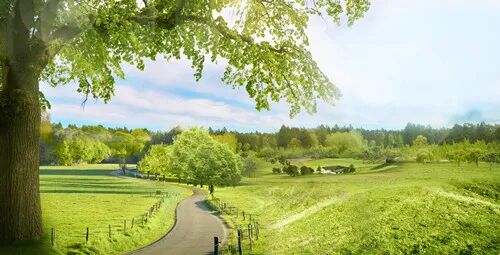 春季阳气生发，儿童饮食如何调理