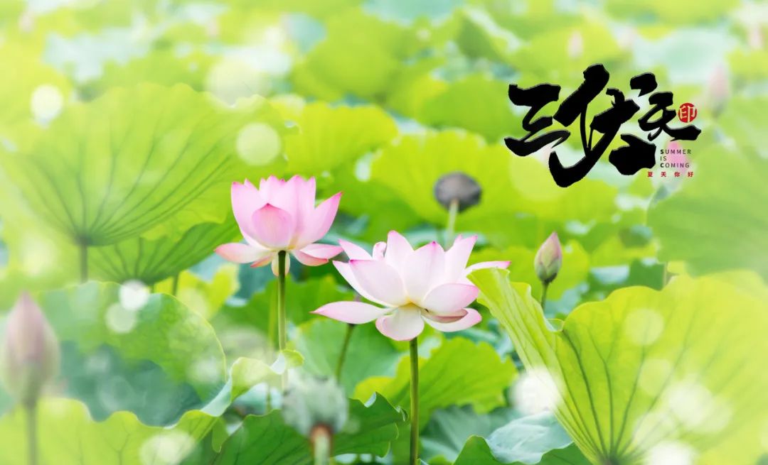 冬练三九 夏练三伏 三伏天养生一定要 动起来 医疗医药联播网 政务信息一体化应用平台