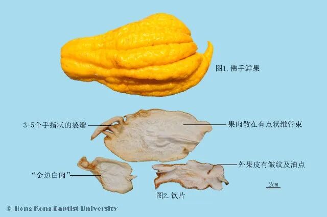 肝郁气滞且有痰试试这味中药
