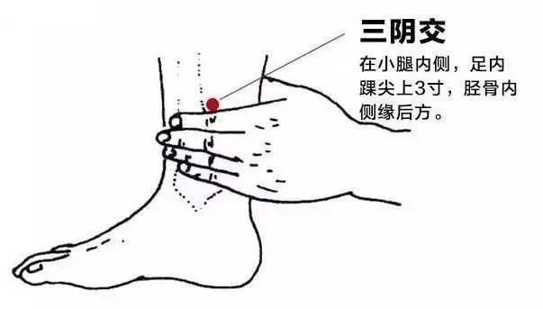 4.極泉穴(快樂穴)屬心經,主治心情鬱悶.取穴方法:腋窩正中處.5.