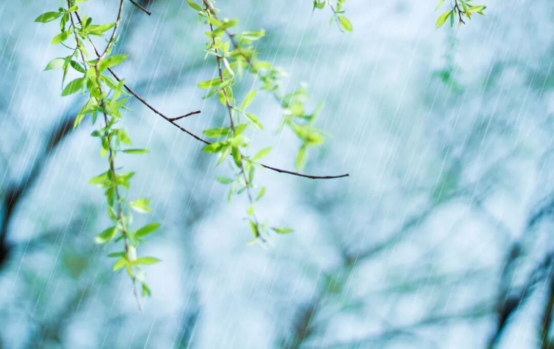 春雨绵绵注意祛湿
