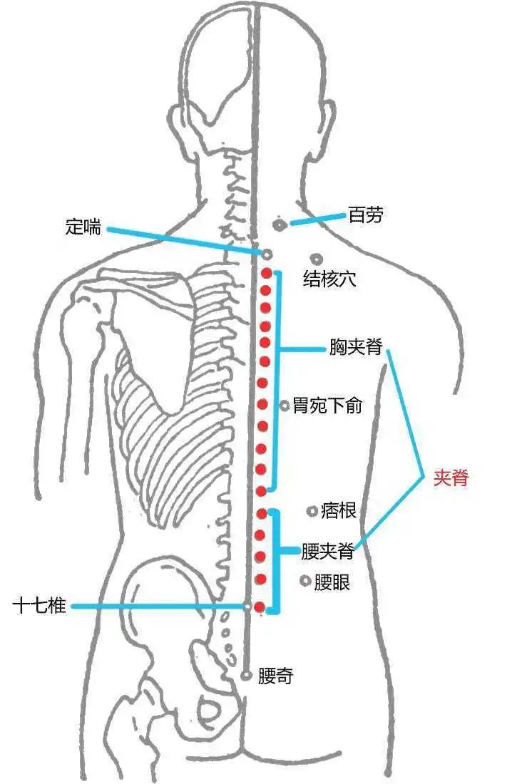 肩髃透极泉图片