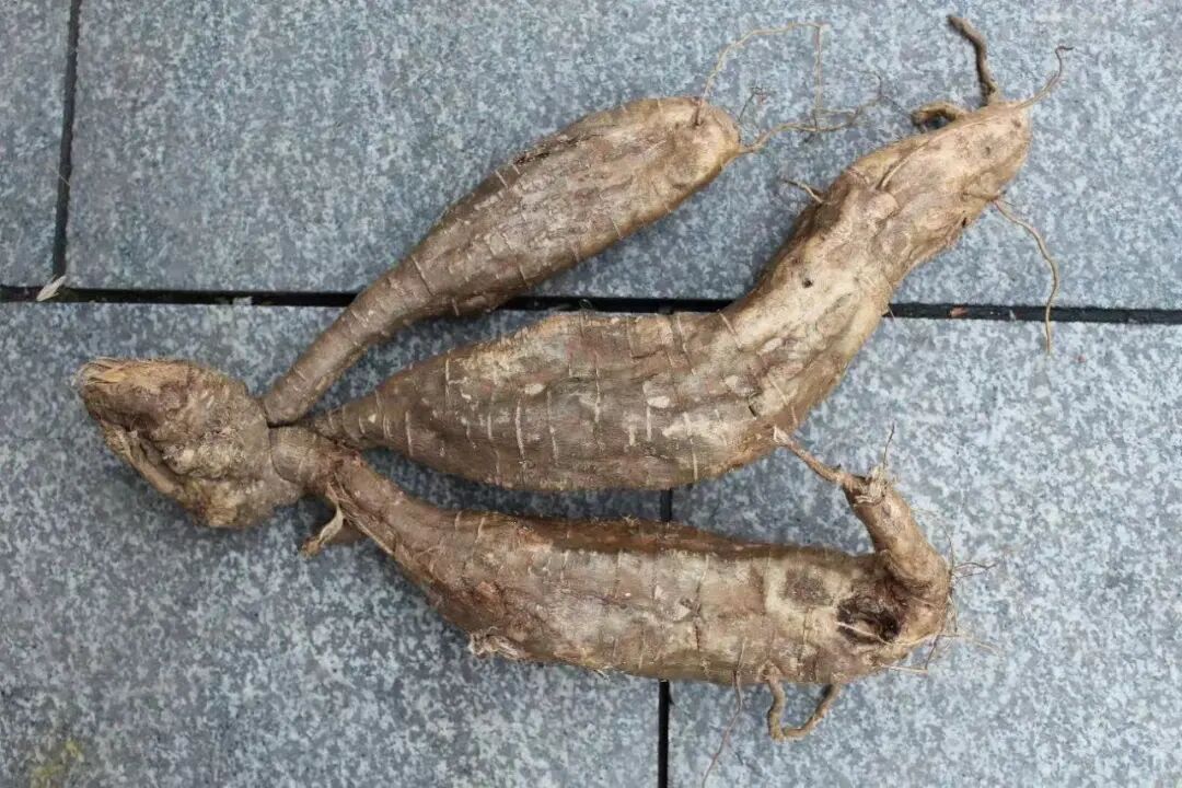 这8种食物,能帮肝脏"解毒"