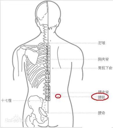 主要手法是按壓,即將拇指放在腰眼穴的位置,其餘四指放在對側,輕柔