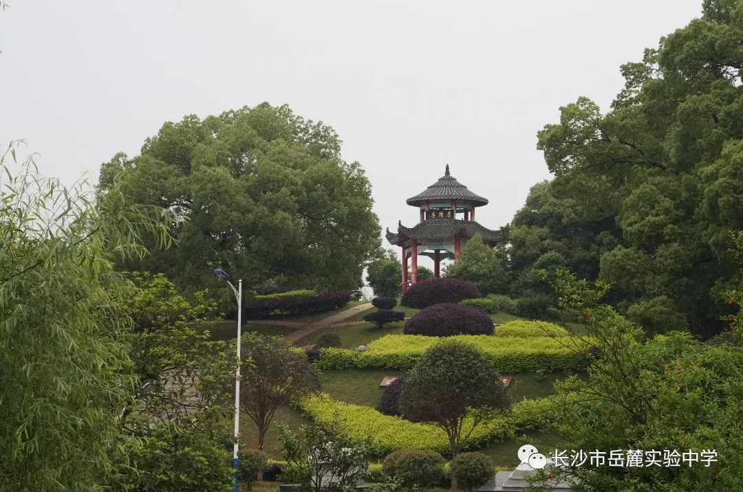 岳麓实验中学录取线_岳麓区实验中学录取线_岳麓区实验中学高考升学率