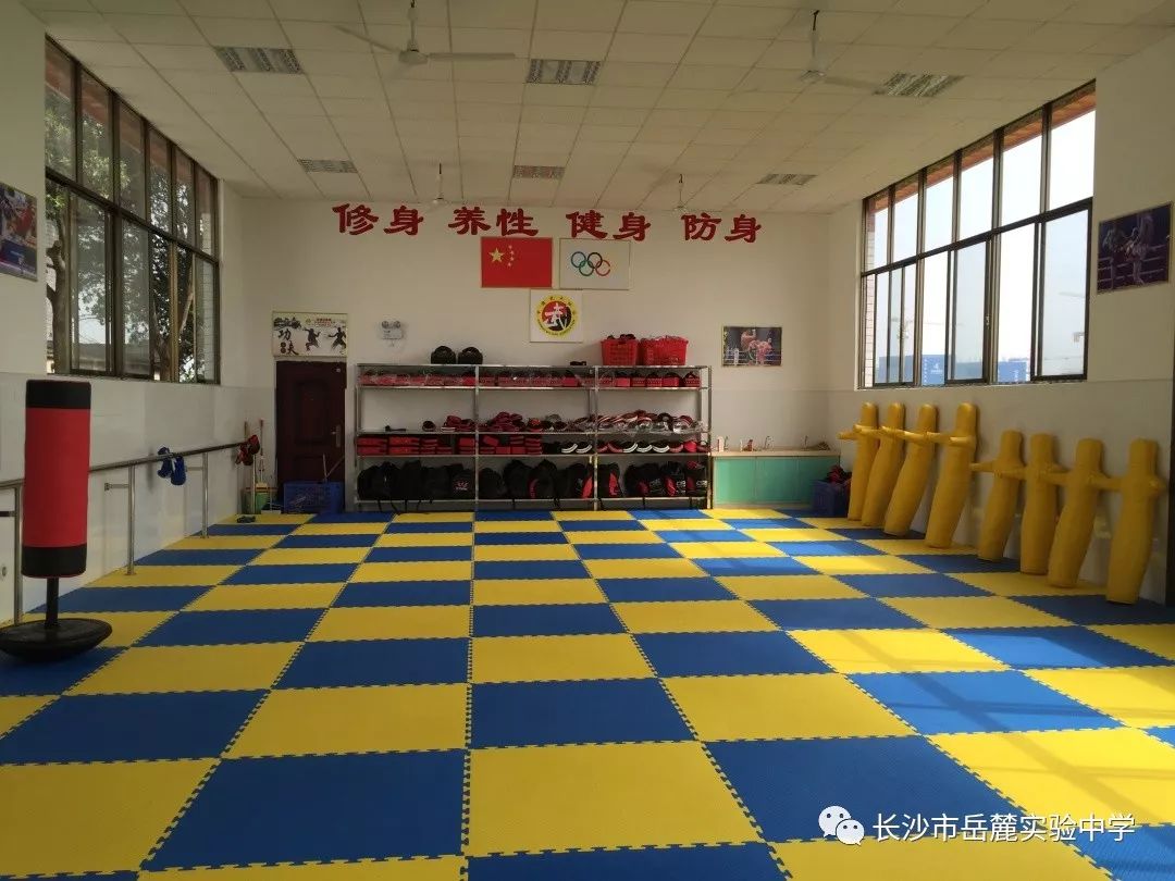 岳麓区实验中学录取线_岳麓实验中学录取线_岳麓区实验中学高考升学率