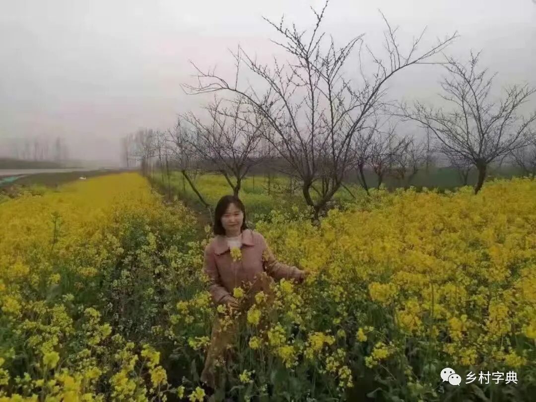 葡萄树种家里好吗风水_家里种葡萄树好不好有什么讲究吗_家种葡萄树吉祥吗