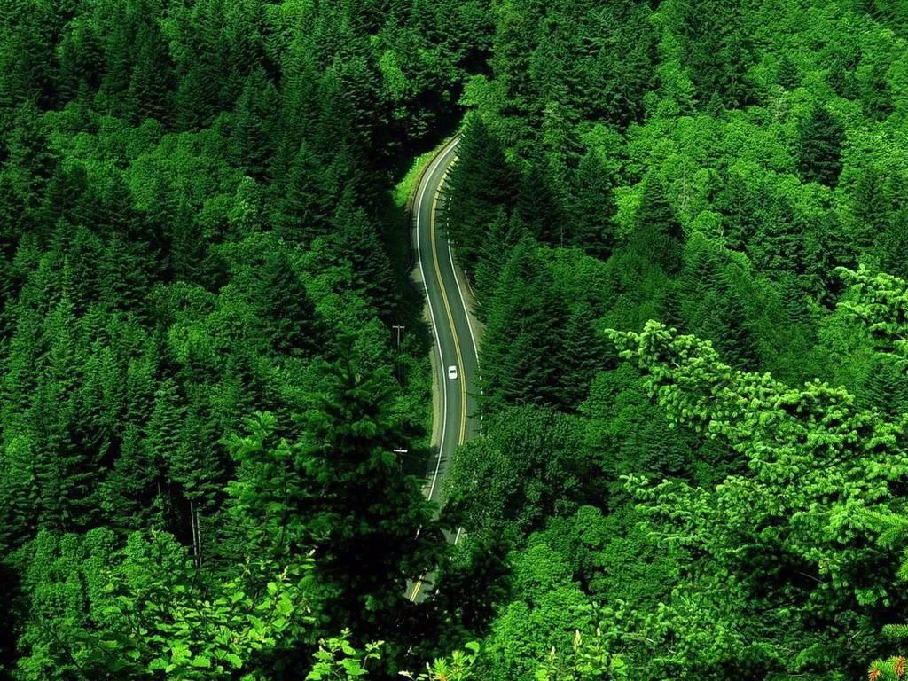 四川發布10條「非遺之旅」路線，每條都是世界級的美景 旅遊 第42張