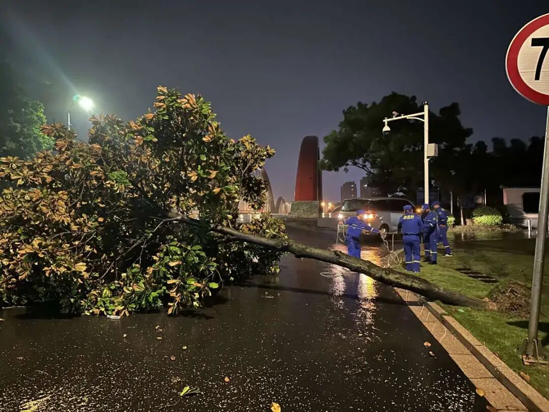 江宁区蓝天救援队：勇抗台风“贝碧嘉”