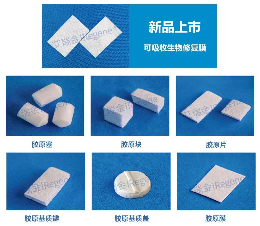 什么是口腔修复膜武大口腔赵吉宏在咸宁，讲授湃生艾瑞金胶原蛋白海绵&可吸收生物修复膜的应用_https://www.jmylbn.com_新闻资讯_第6张