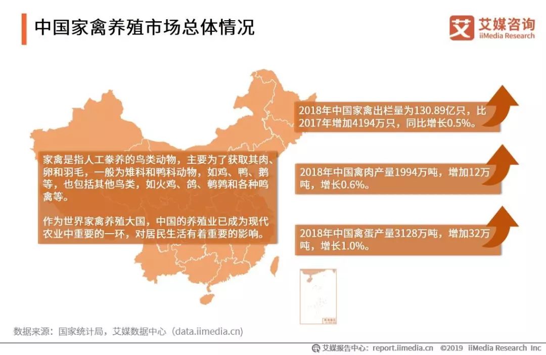 19 21年中国家禽消费市场大数据及饲养行业趋势研究报告 行研君 微信公众号文章阅读 Wemp