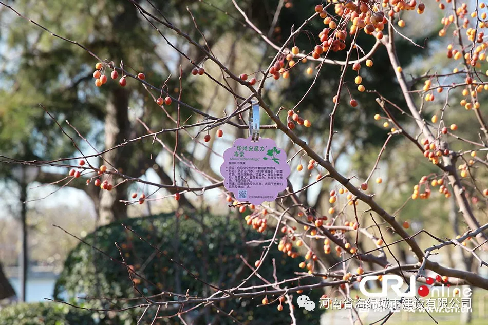 周末走进贾鲁河感受百里风光画卷 周末走进贾鲁河感受百里风光画卷
