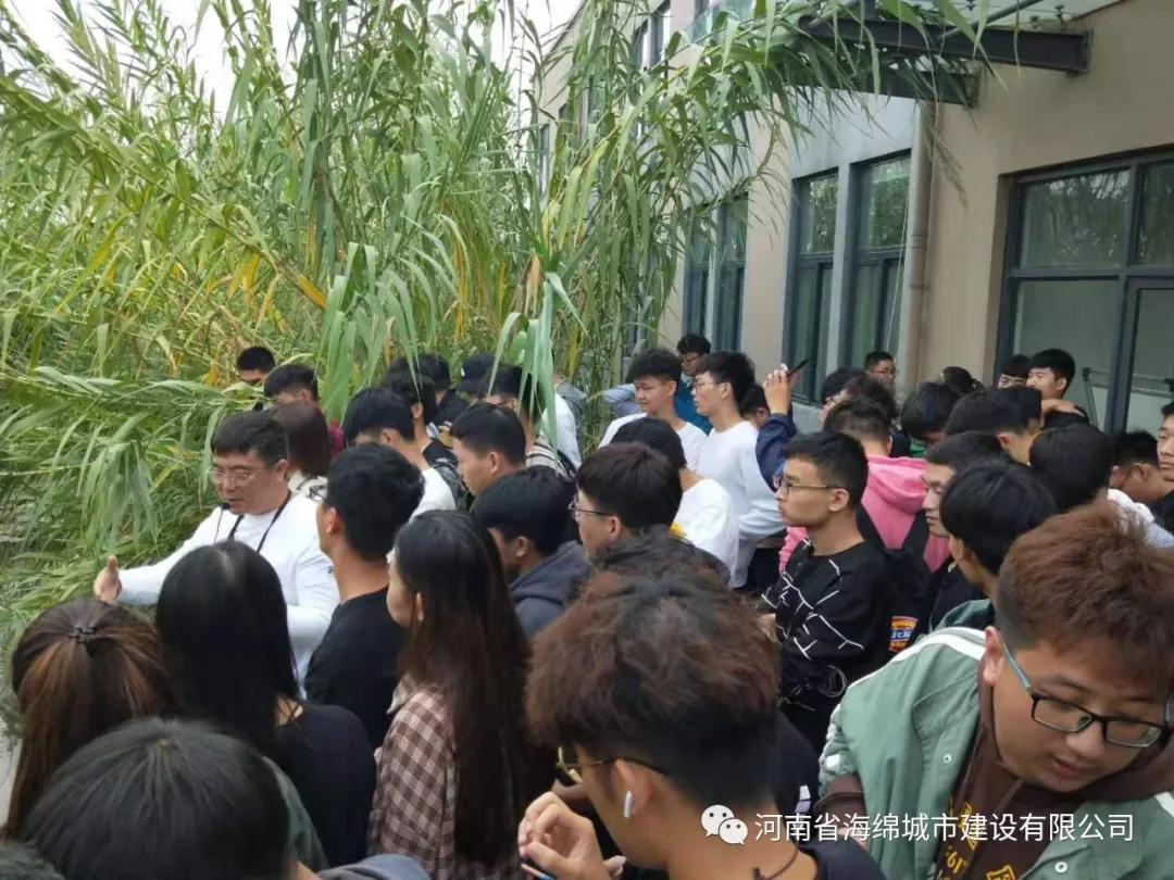 城市之肾,为城市水系“ 排毒”“解毒” 城市之肾,为城市水系“ 排毒”“解毒”