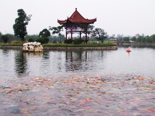 漯河森林公園