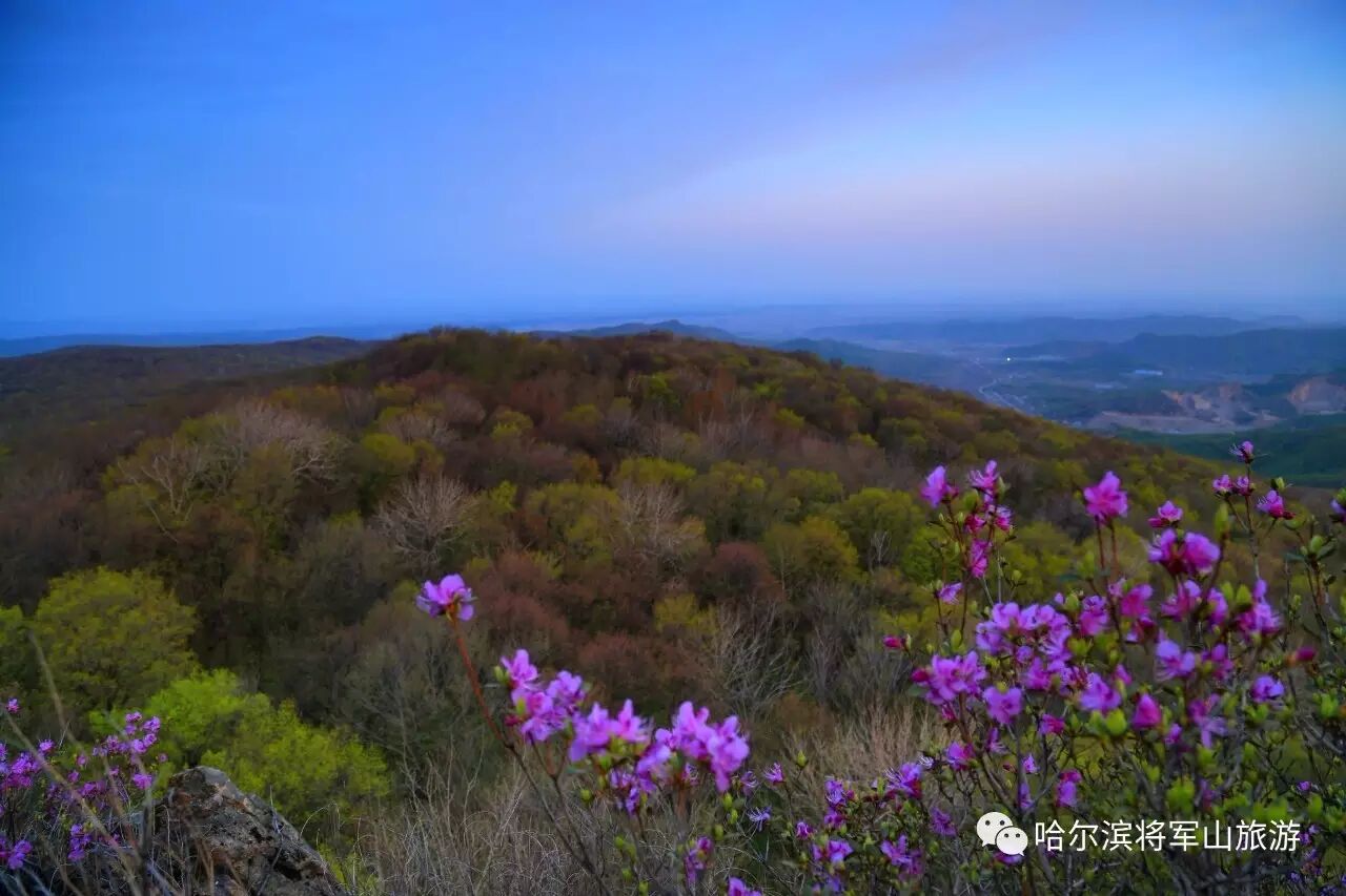 哈尔滨将军山原始森林景区介绍