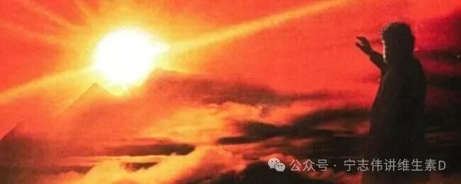 补充维生素D不能代替阳光照射 - 第1张  | 中药养生知识-中草药的功效与作用