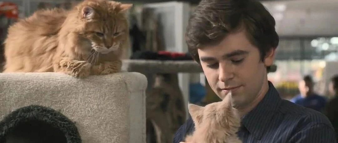 你们这些星座别再装无所谓了！