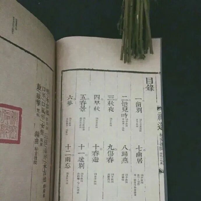 你的印记，是我此生不再遇的海。