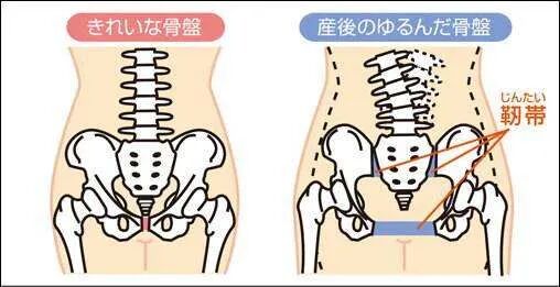 完整的产后恢复，造就完美的时尚辣妈！